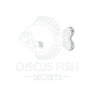 discus fish secrets